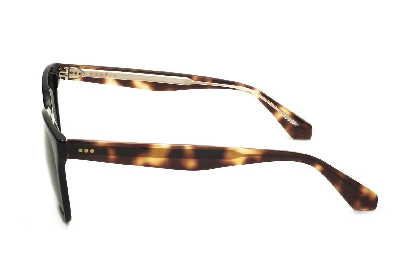Sandro SDS2008 Sunglasses - view 9